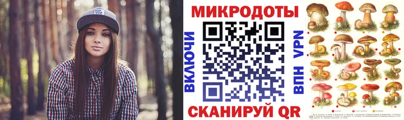 Псилоцибиновые грибы Psilocybe  Купить где  Невель 